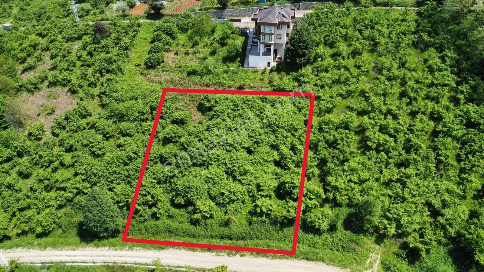 Trabzon Ortahisar Bulak'ta Satılık Arazi - Görsel 2