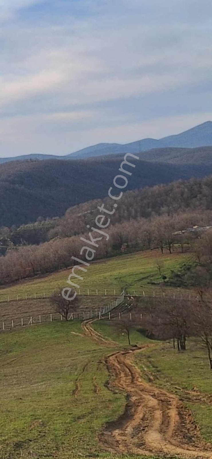 Satılık 6350 M2 Milli Emlak Hisseli Arazi Açıklamayı Okuyunuz. - Görsel 13