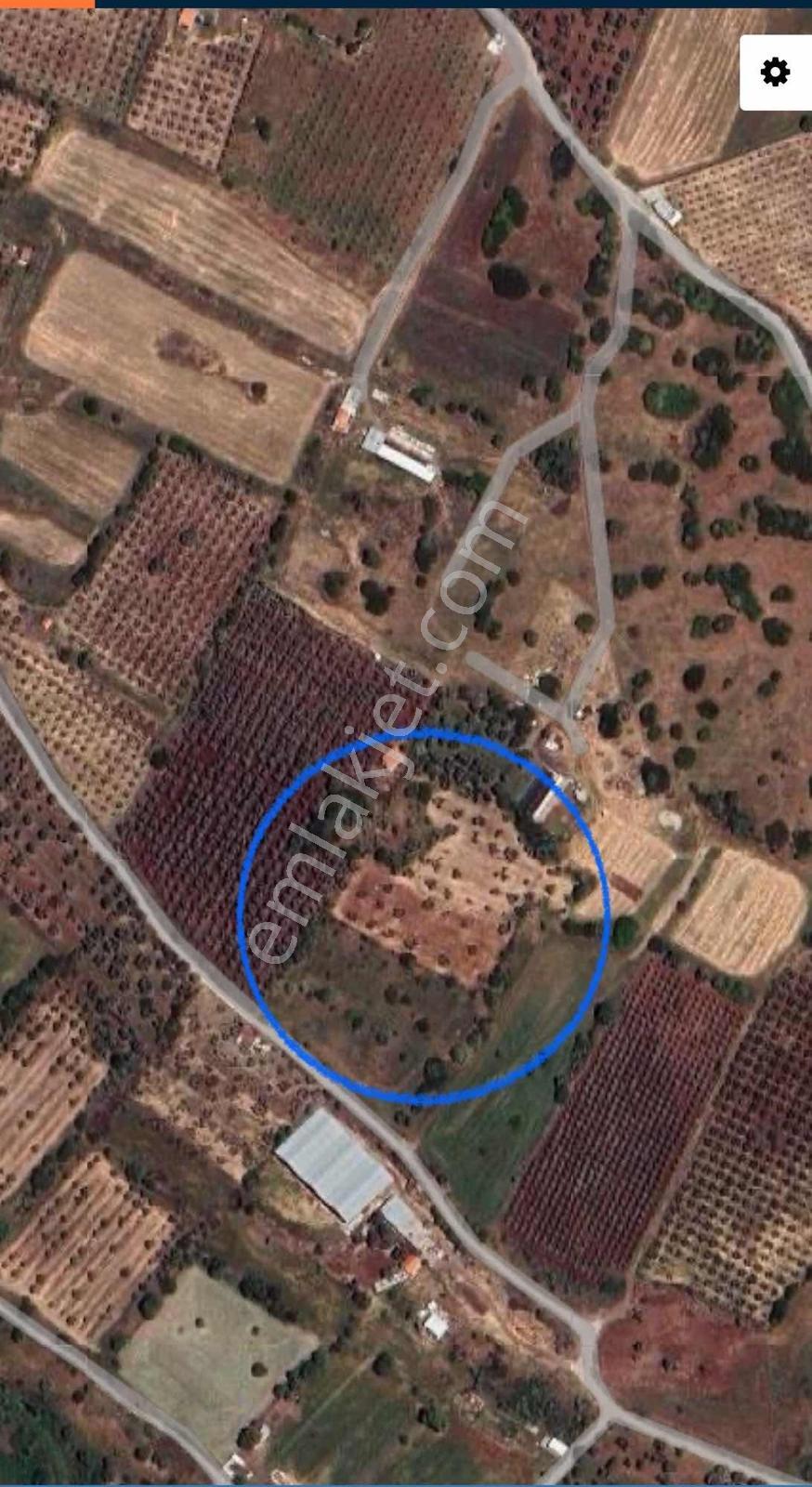 Foça Yenibağarasında Tabiatın İçinde Kısmi Deniz Manzaralı Tarla - Görsel 3