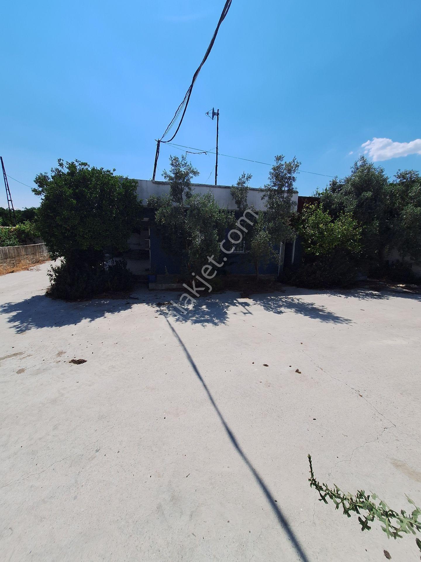 Sultanhisar Atça Da Satılık Çiftlik - Görsel 23