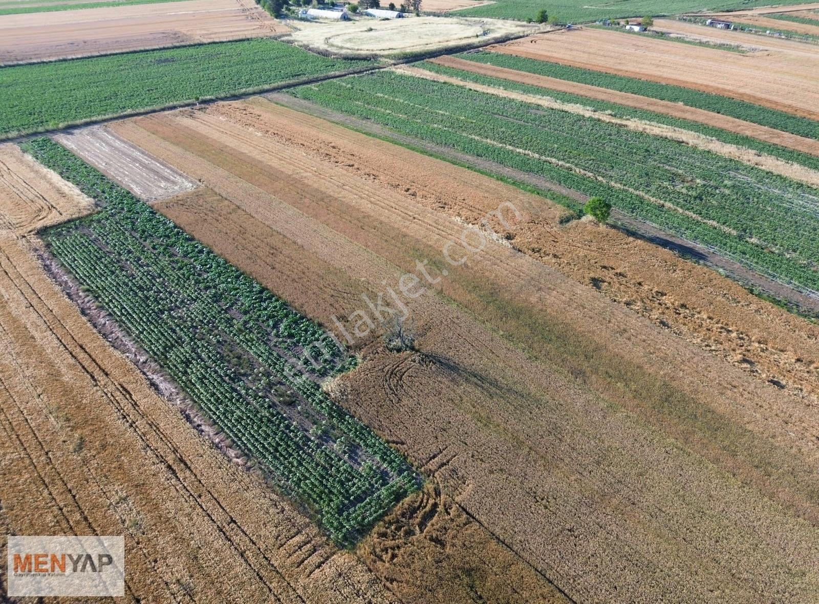 Tekirdağ Ergene Pınarbaşı Tek Tapu 1.340 M2 Satılık Tarla - Görsel 4