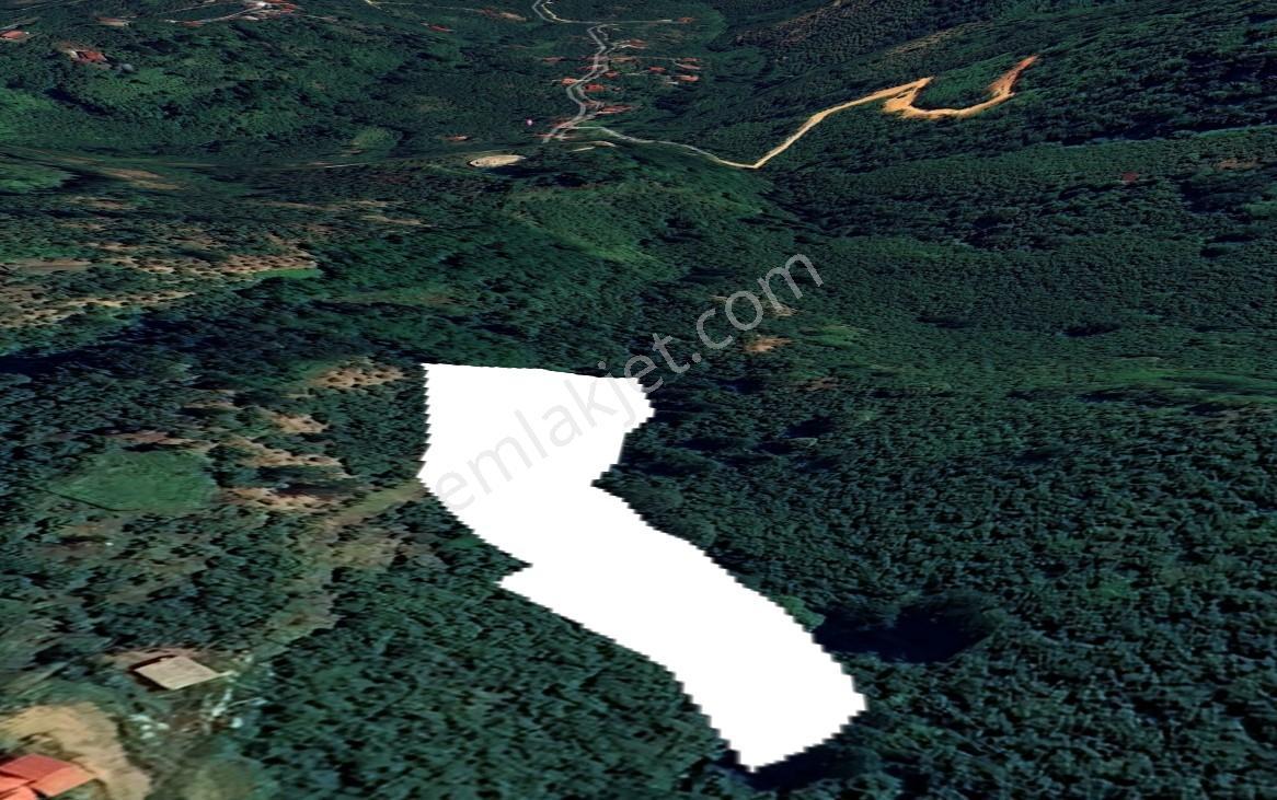 Vavien Emlak'tan Burunucu Köyünde Deniz Manzaralı Satılık Bahçe - Görsel 31