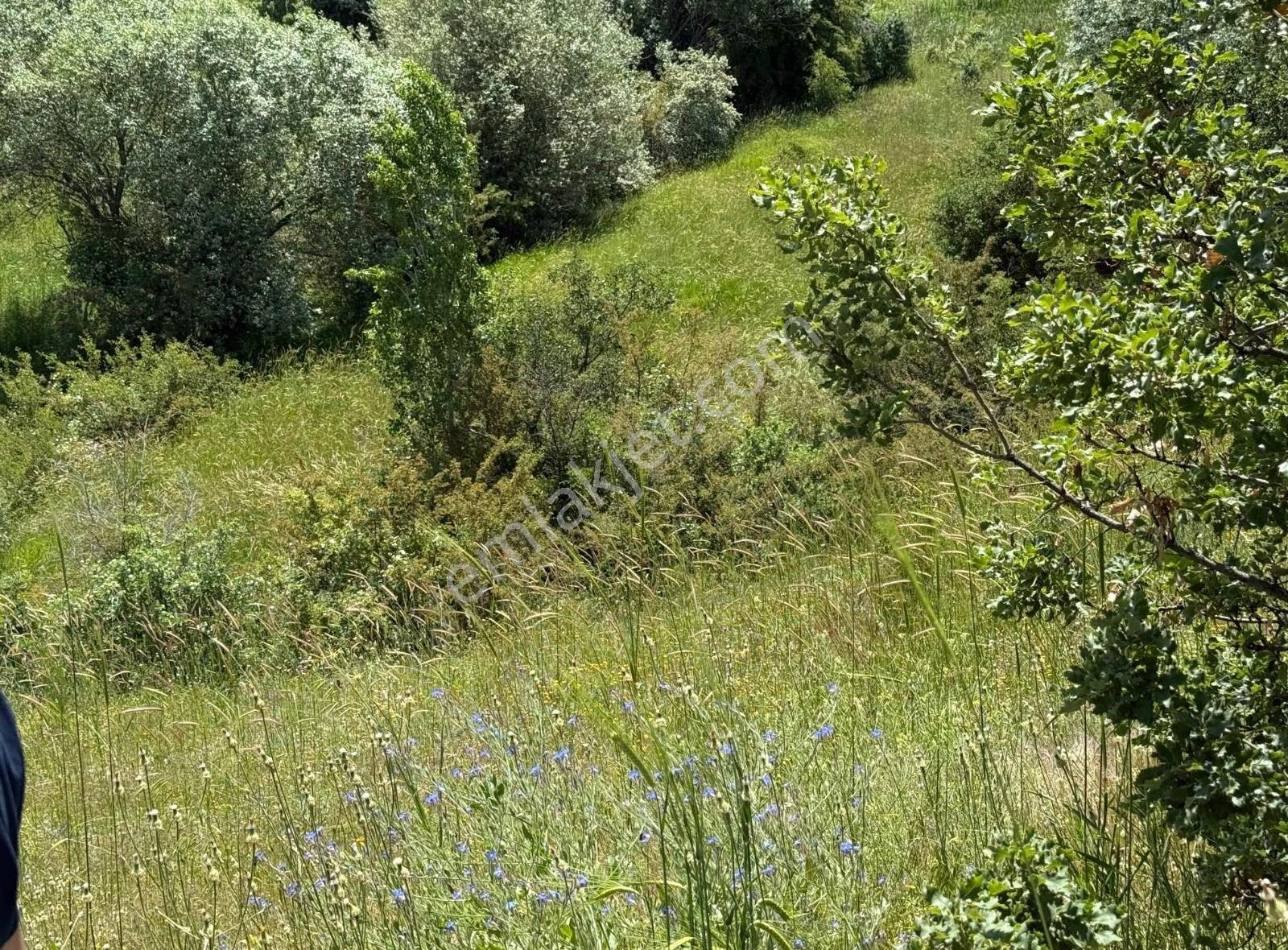 Öksüzuşağı Köyünde Satılık Bahçe - Görsel 12