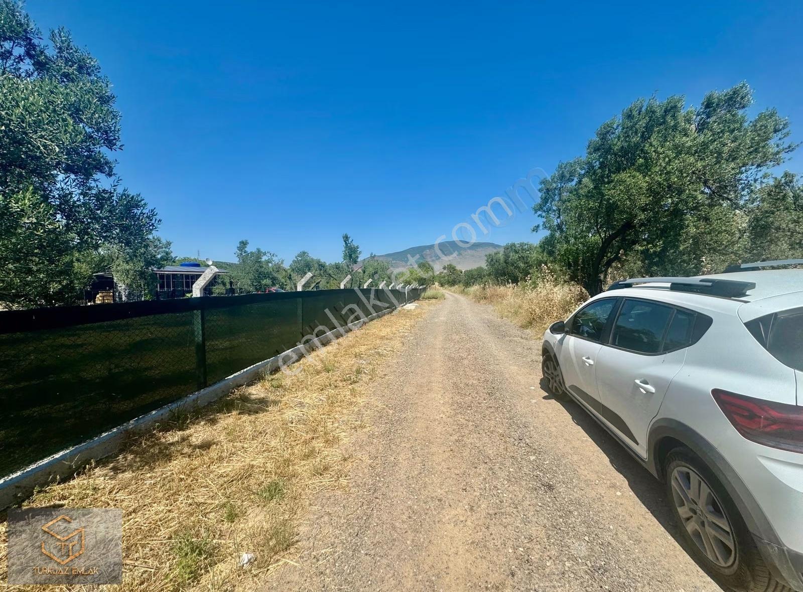 Helvacı Da Satılık 2850 M² Zeytin Ağaçlı Tek Tapu Tarla - Görsel 11