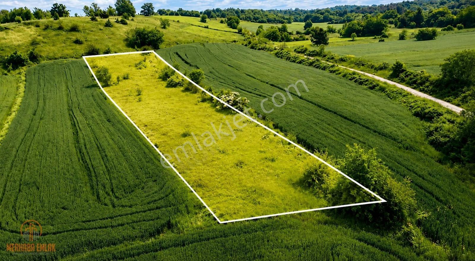 Kozluca'da 2.550 M2 Mükemmel Tarla! Bir Arsan Olsun! - Görsel 5