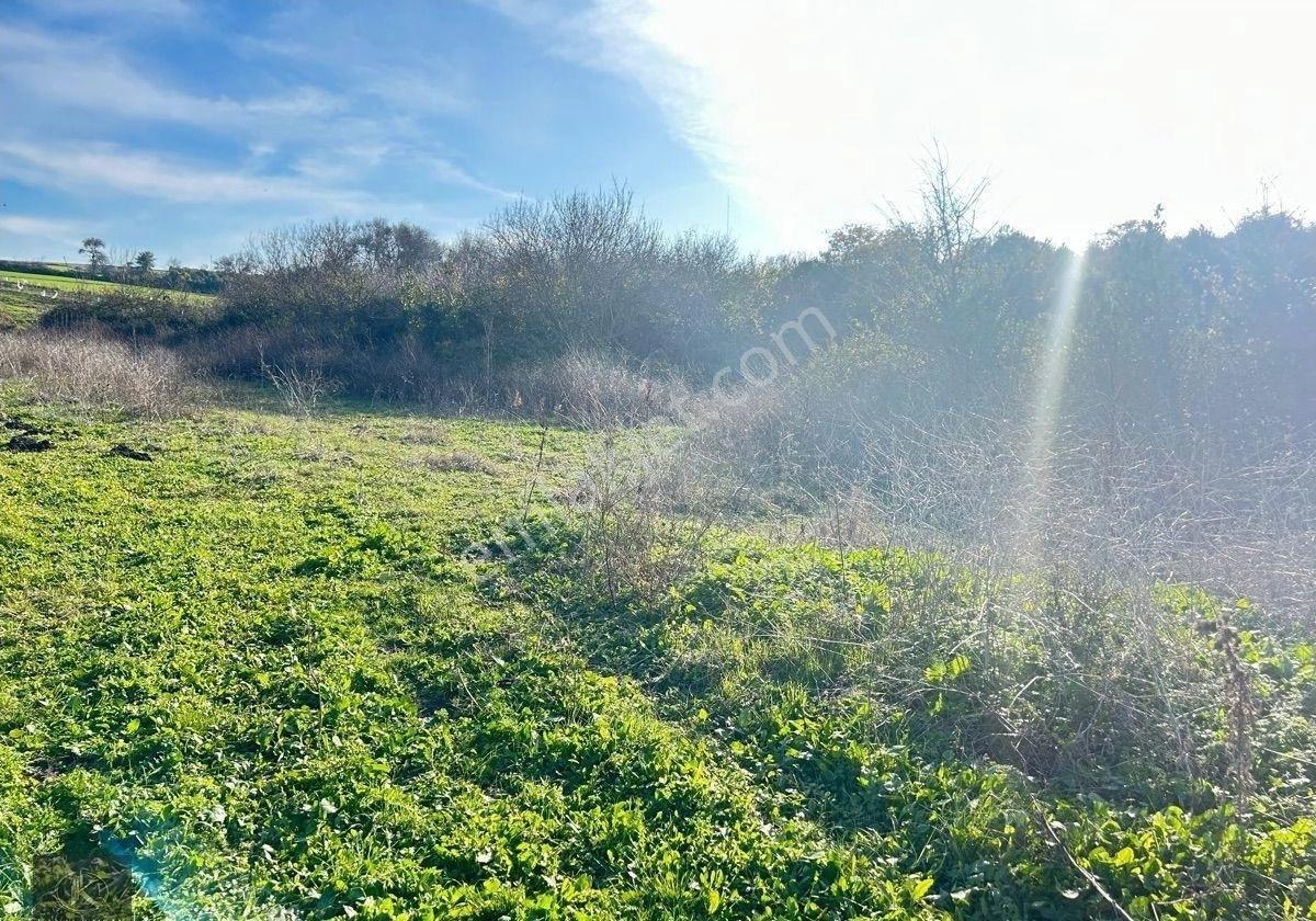 * 🌿 Temiz Hava, Doğal Su Kaynağı Ve Deniz Bir Arada | Eğerce’de Arsa - Görsel 9