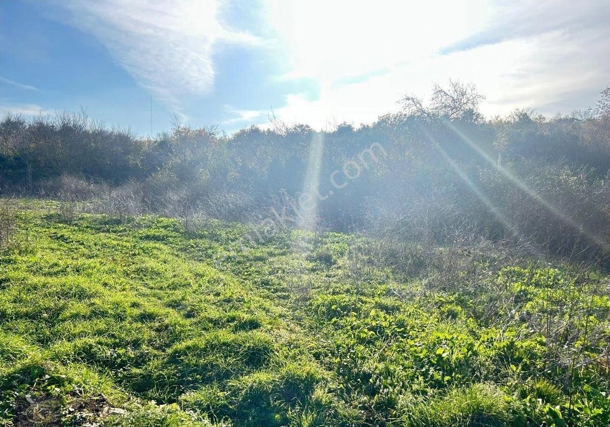 * 🌿 Temiz Hava, Doğal Su Kaynağı Ve Deniz Bir Arada | Eğerce’de Arsa - Görsel 5