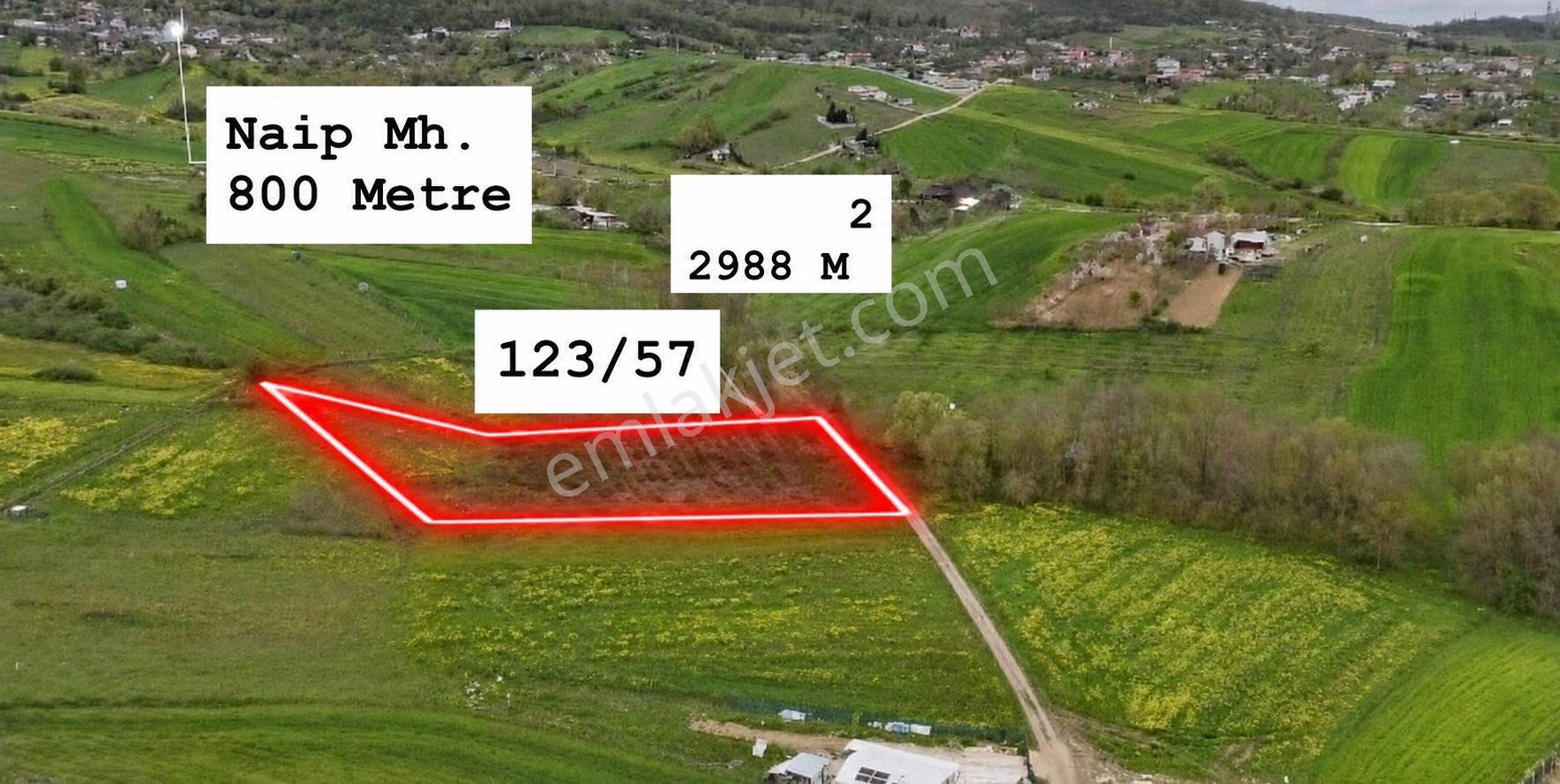 Kocaeli Körfez Naip Mevki Yatırımlık Satılık Tarla - Görsel 2