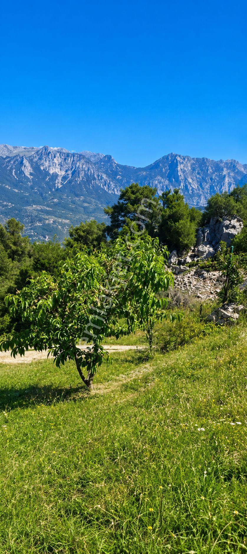 Konyaaltı Hisarçandır'da İçinde Yapı Kayıtlı Ev Eşyalı Evi İle Birlikte 395 M2 Villa Arsası - Görsel 7