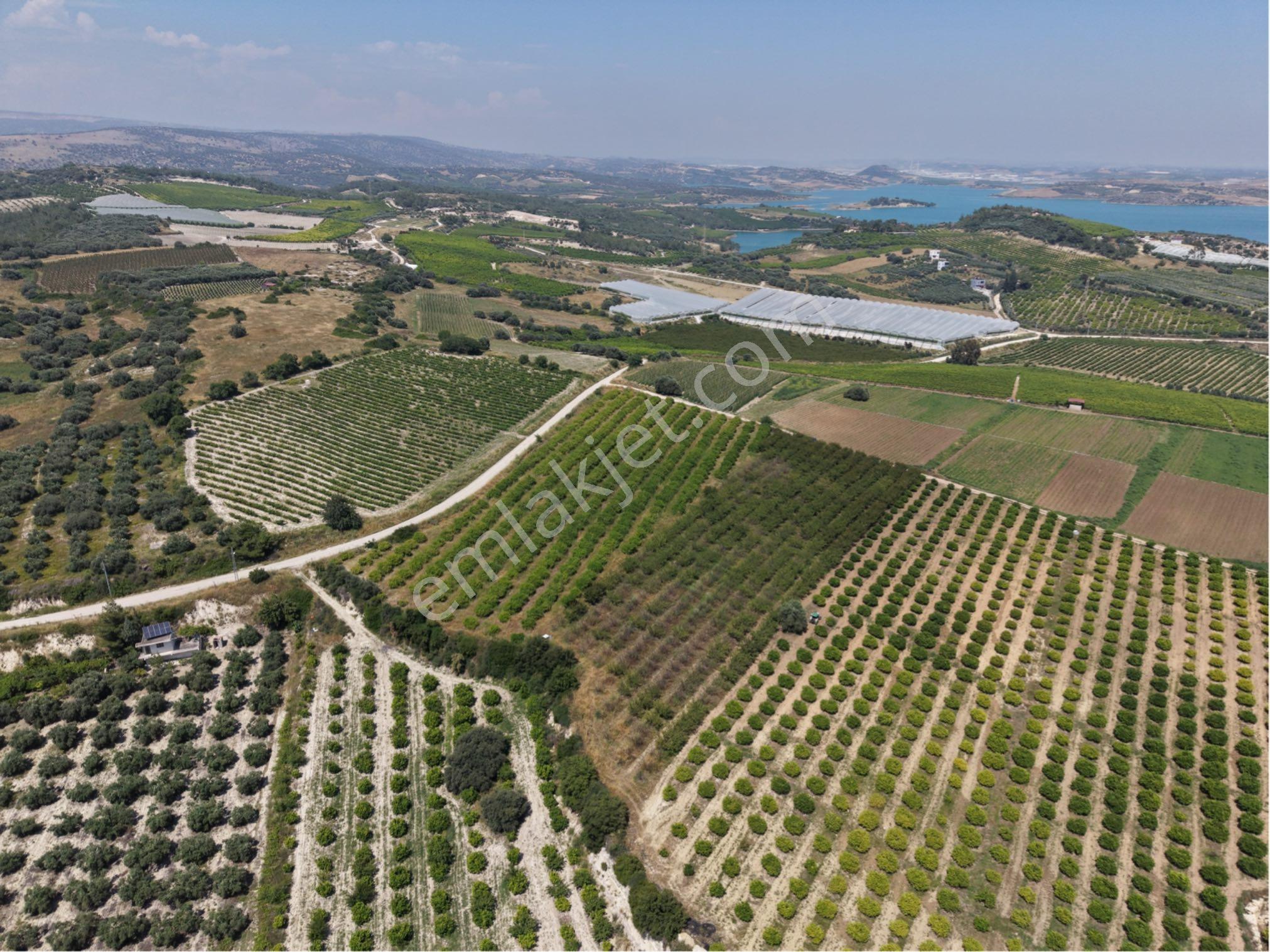 Ra Gayrmenkul Akçakocalı 18.000m2 Satılık Bahçe - Görsel 16