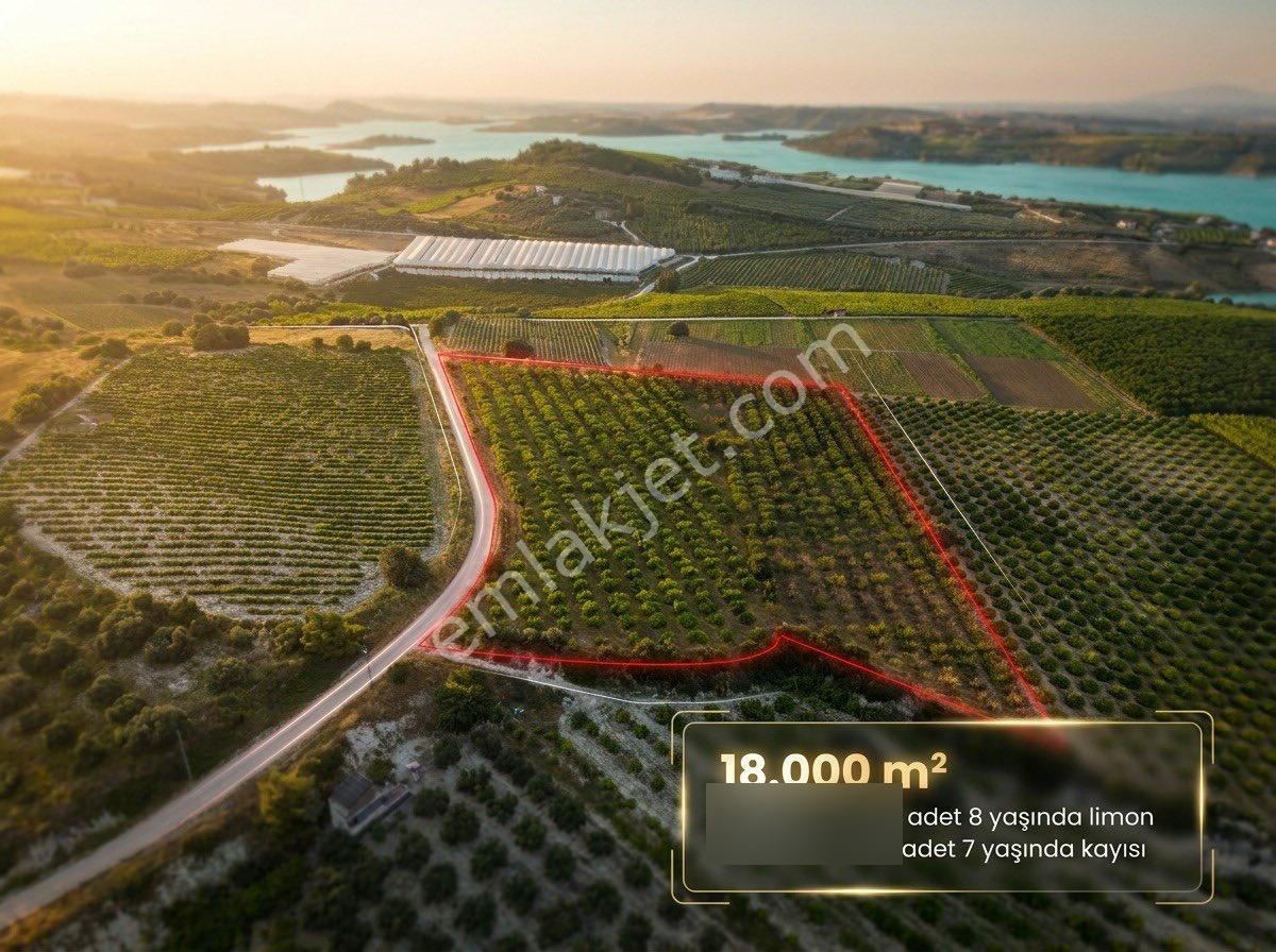 Ra Gayrmenkul Akçakocalı 18.000m2 Satılık Bahçe - Görsel 4
