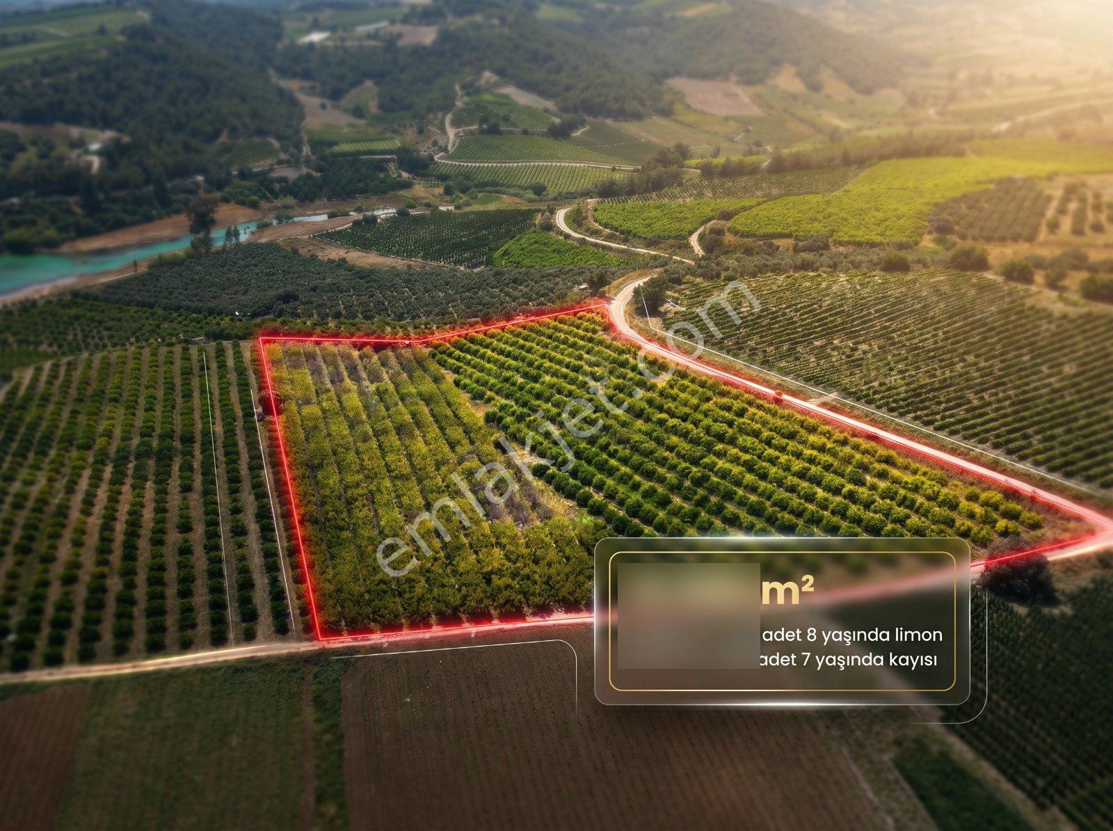 Ra Gayrmenkul Akçakocalı 18.000m2 Satılık Bahçe