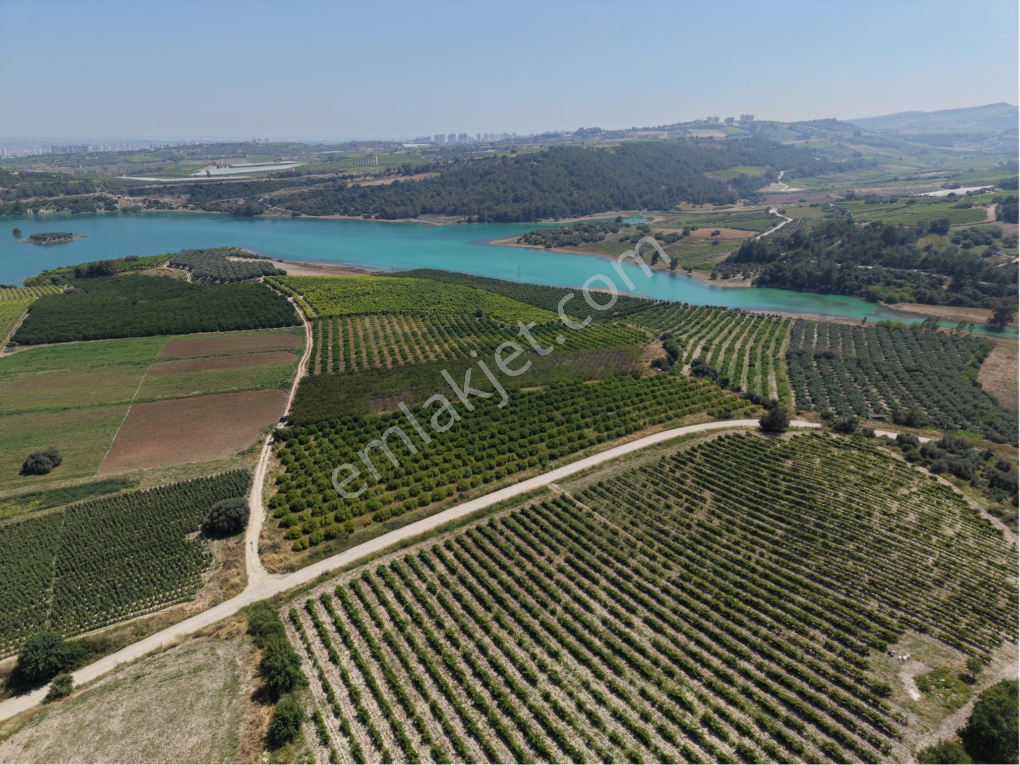 Ra Gayrmenkul Akçakocalı 18.000m2 Satılık Bahçe - Görsel 13