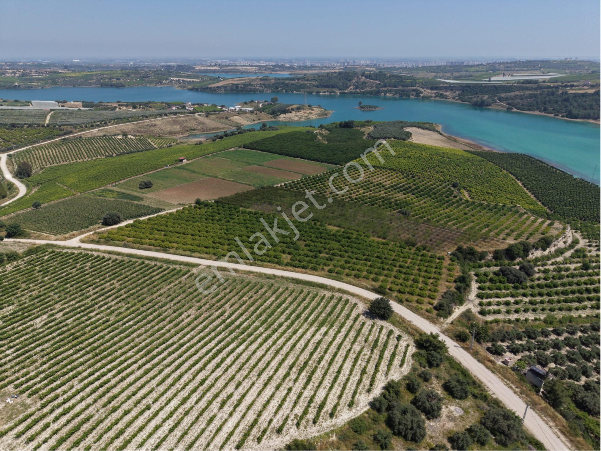 Ra Gayrmenkul Akçakocalı 18.000m2 Satılık Bahçe - Görsel 5