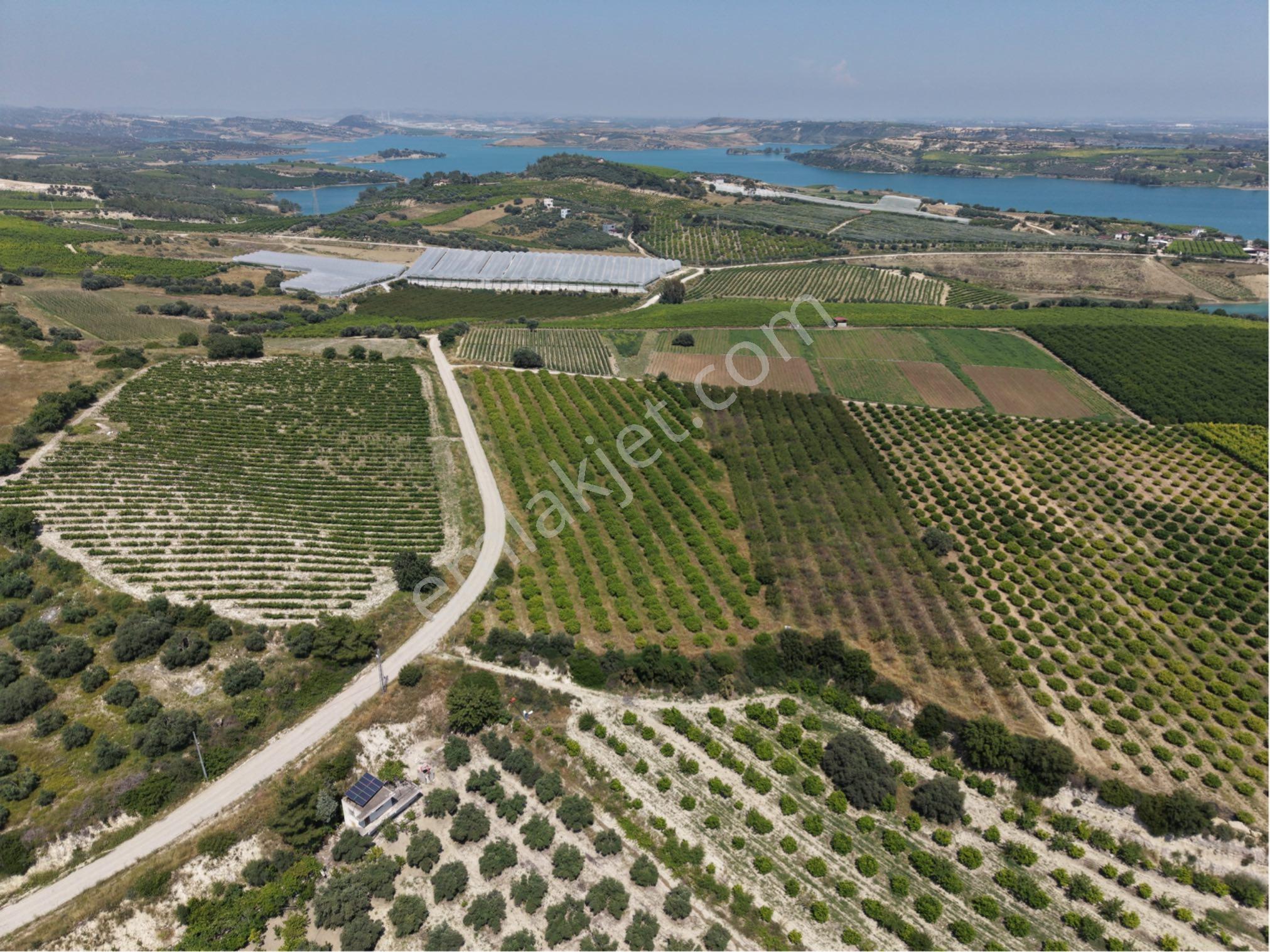 Ra Gayrmenkul Akçakocalı 18.000m2 Satılık Bahçe - Görsel 19