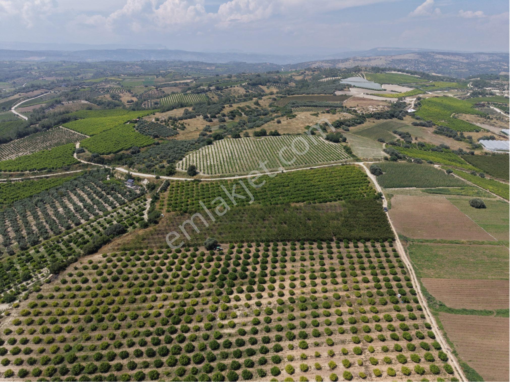 Ra Gayrmenkul Akçakocalı 18.000m2 Satılık Bahçe - Görsel 20