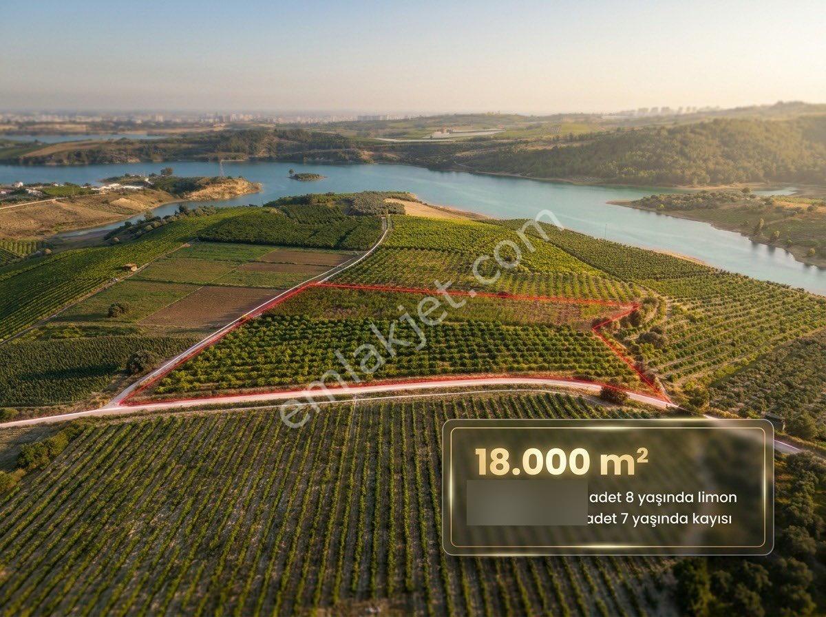 Ra Gayrmenkul Akçakocalı 18.000m2 Satılık Bahçe - Görsel 2