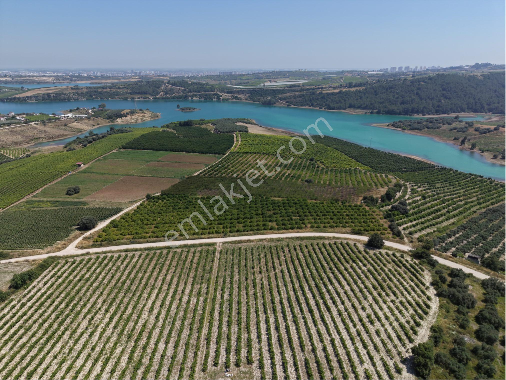 Ra Gayrmenkul Akçakocalı 18.000m2 Satılık Bahçe - Görsel 6