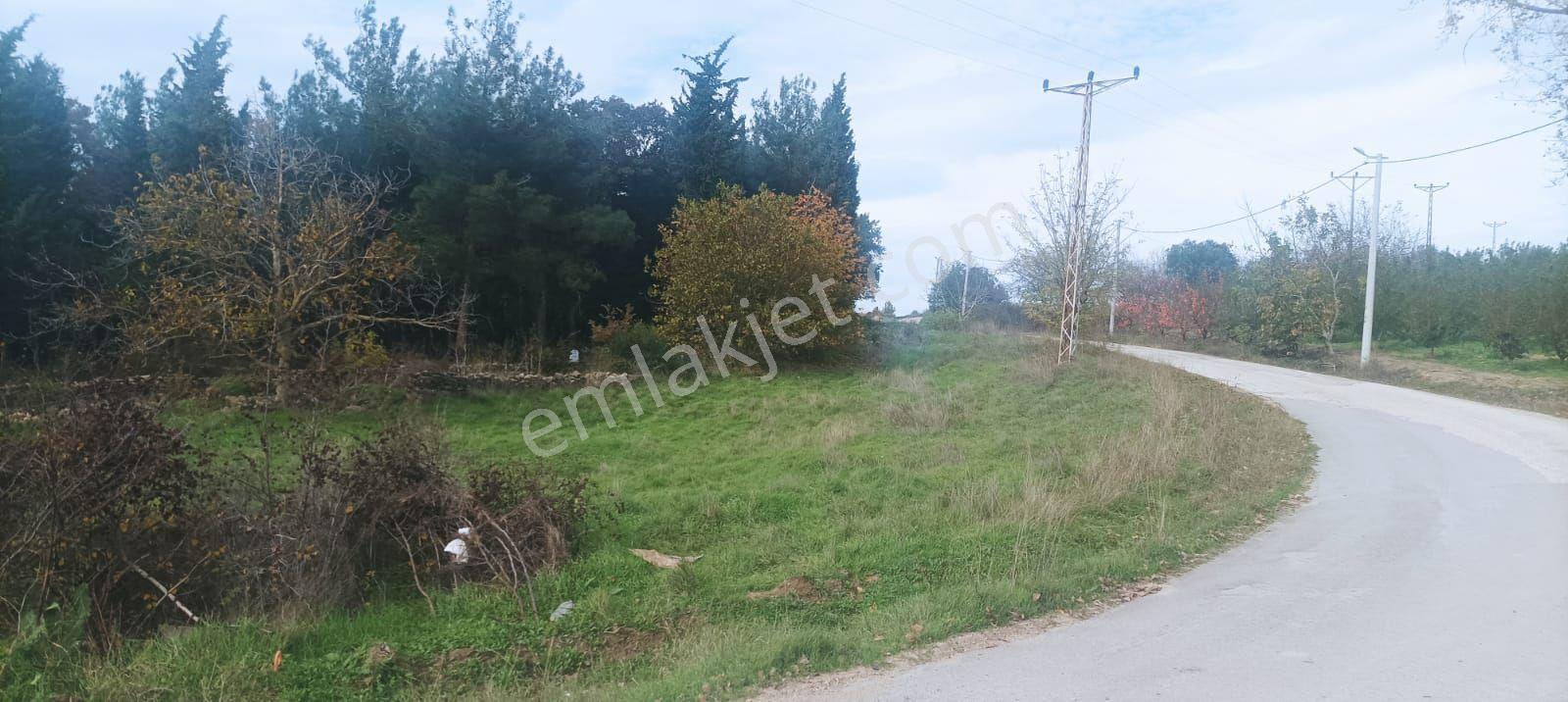 İmarlı Mustakil - Görsel 6