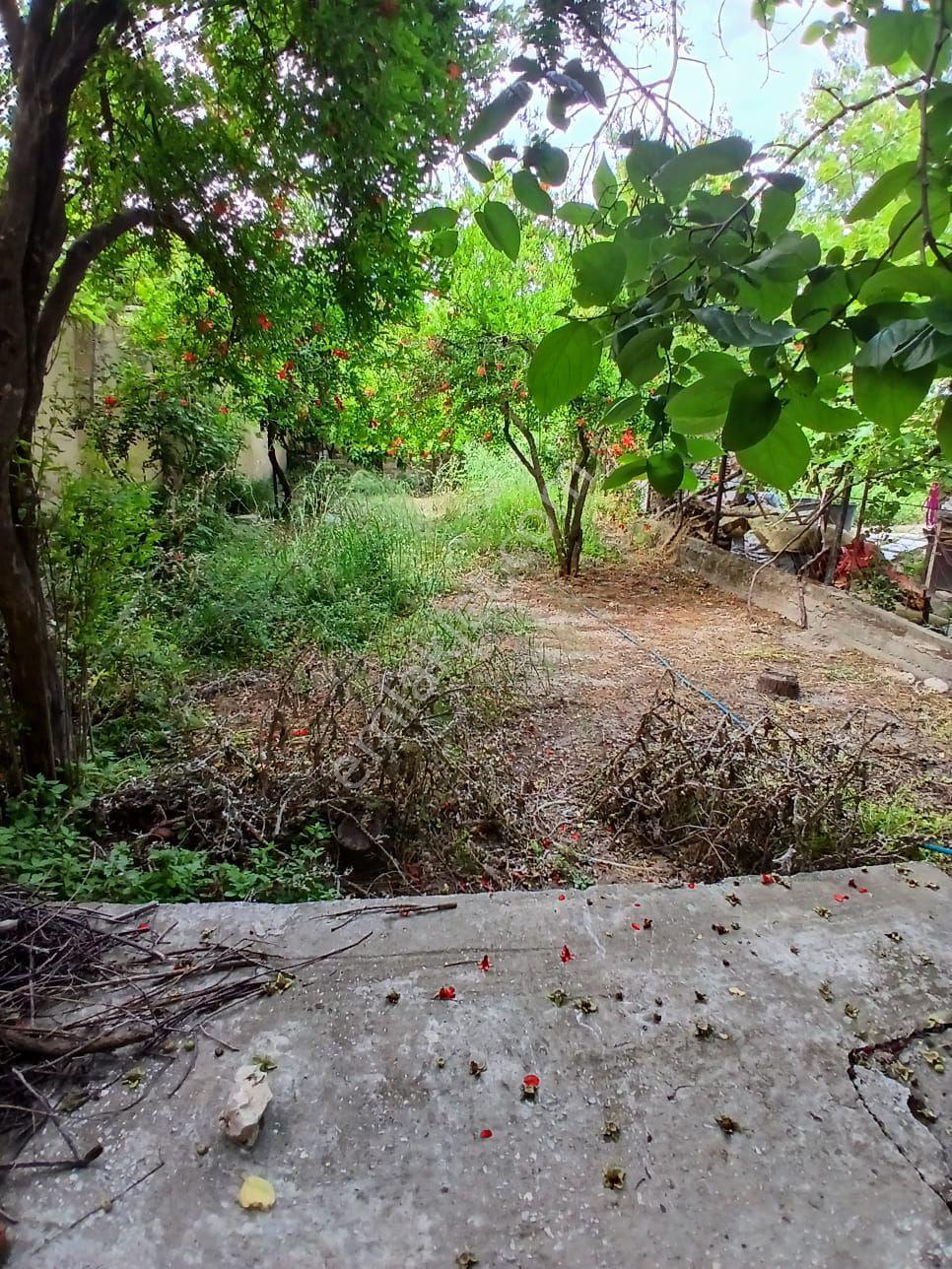 İzmir Torbalı Çapak Köyünde 630m2 Köy Evi Satılık - Görsel 7