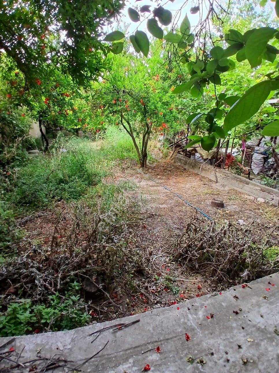 İzmir Torbalı Çapak Köyünde 630m2 Köy Evi Satılık - Görsel 9