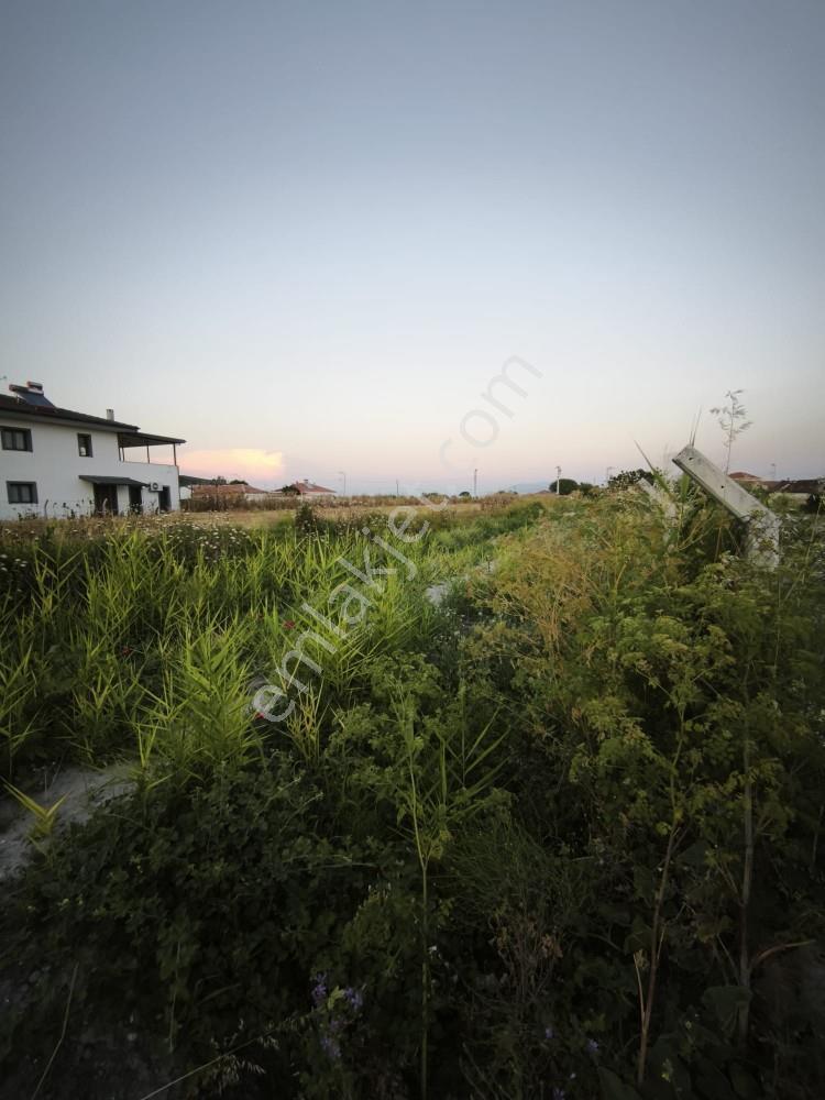 Manisa Şehzadeler Tepecik Mh.1477 M² Villa İmarlı Köyiçi Arsa - Görsel 18