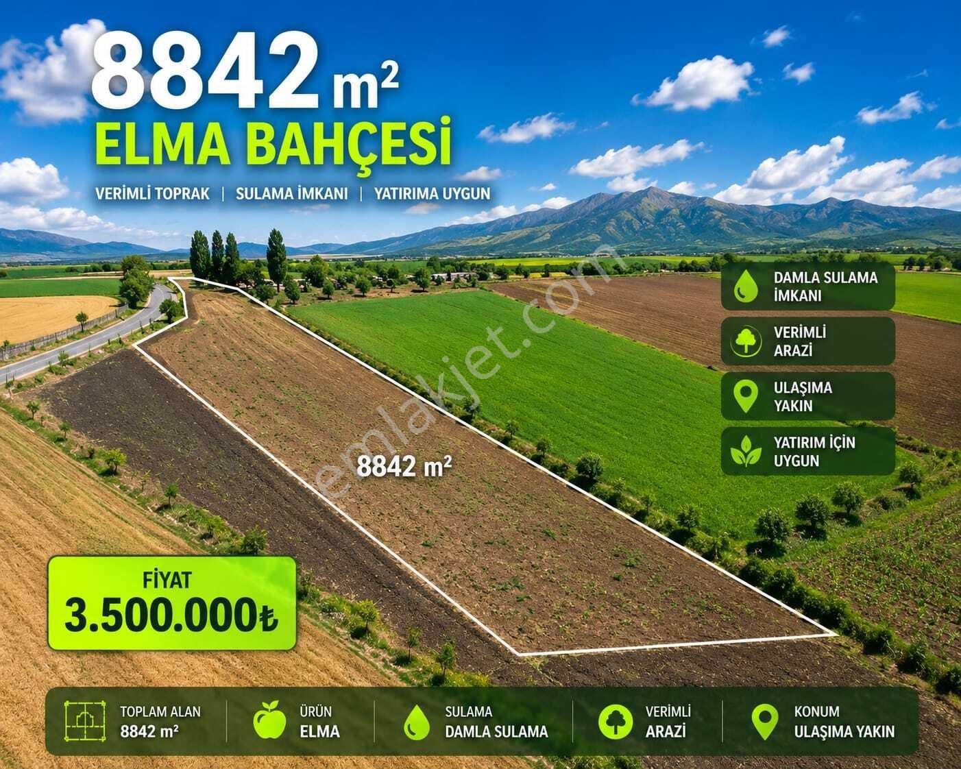 Seydikemer Zorlar'da 8500 M² Tarım Alanı İmarlı Satını İmarlı Satılık Arsa: Geleceğe Yatırım Fırsatı - Görsel 2