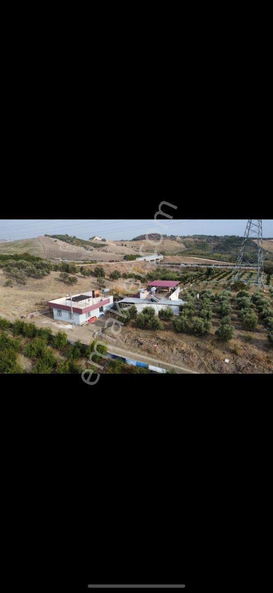 Ars Yapı Gayrimenkul'den Mersin Çopur'da Satılık 3.167 M2 Arsa - Görsel 17