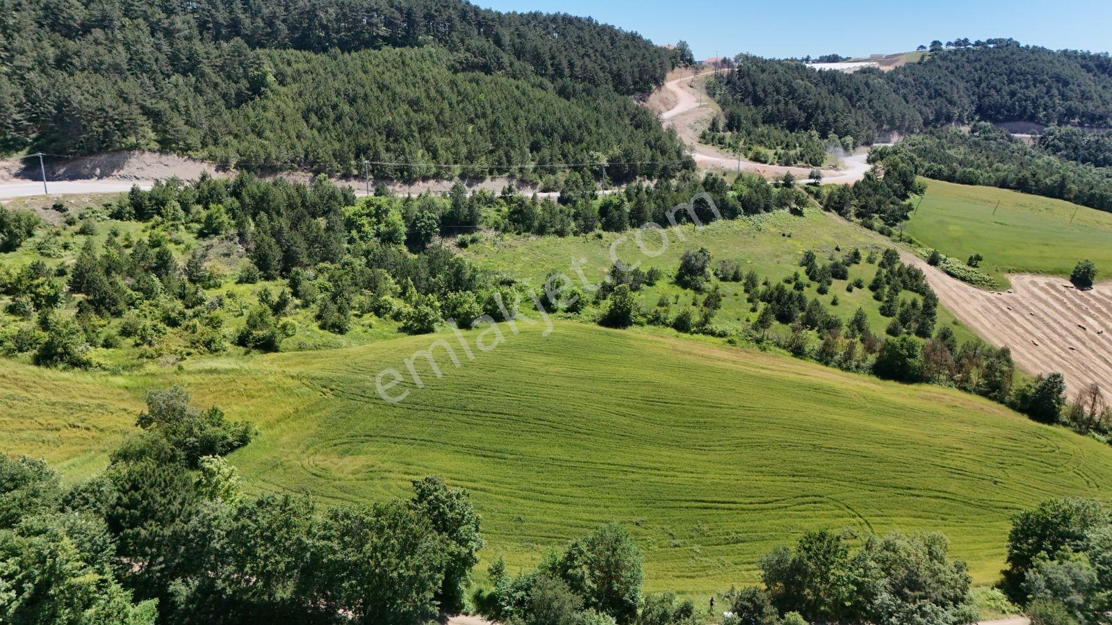 Sakarya Geyve 13820m2 Resmi Yola Cephe Elektrik Su İmkanı Uygun - Görsel 34
