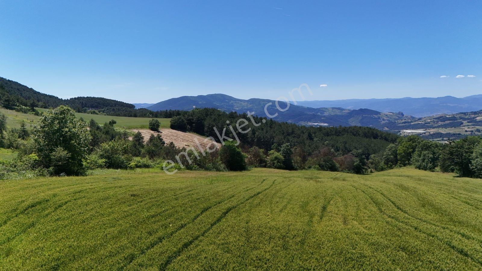 Sakarya Geyve 13820m2 Resmi Yola Cephe Elektrik Su İmkanı Uygun - Görsel 35