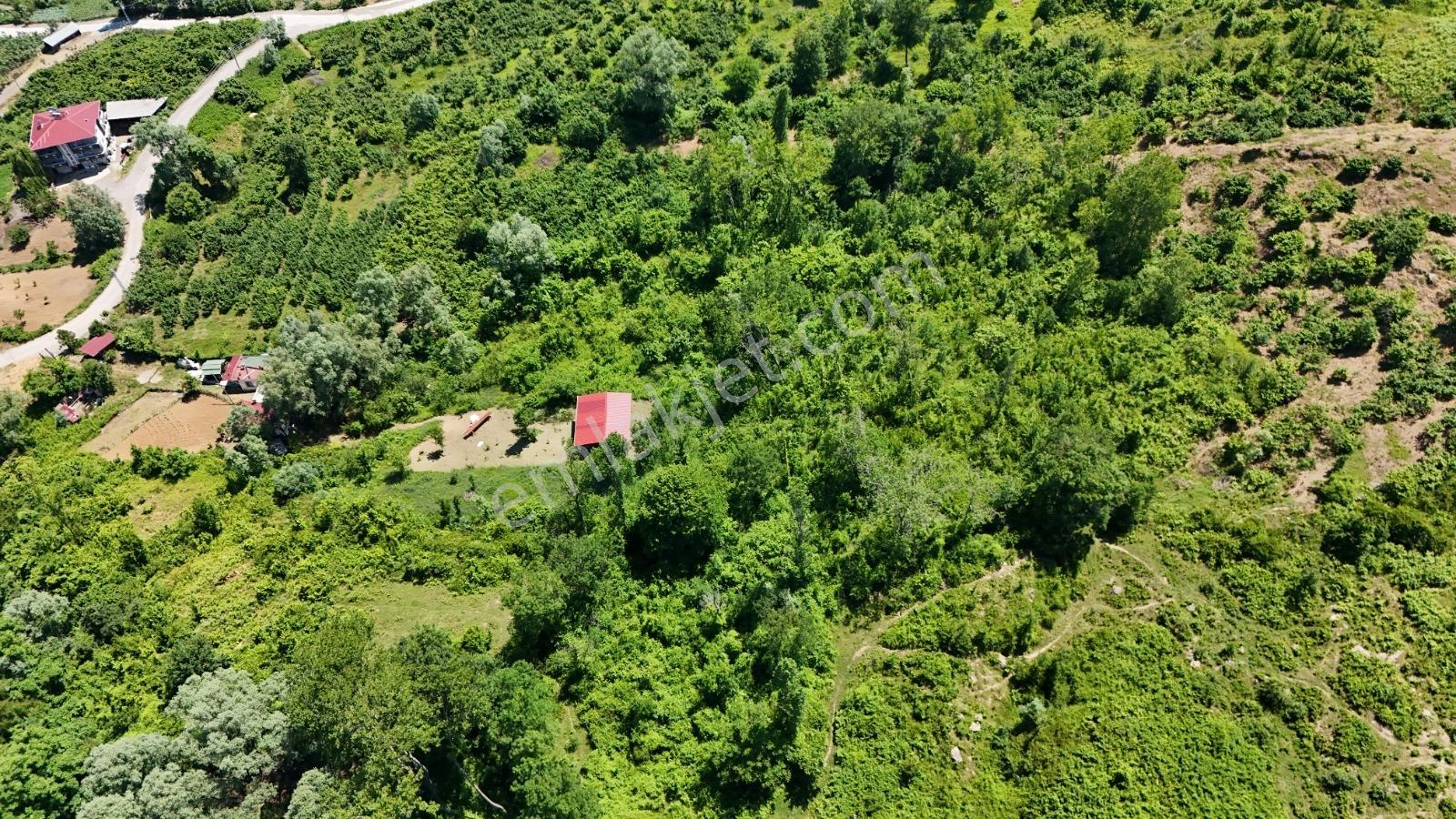 Bi·nova'dan Yeşiltepe Mh Satılık Köyiçi Tarla - Görsel 10