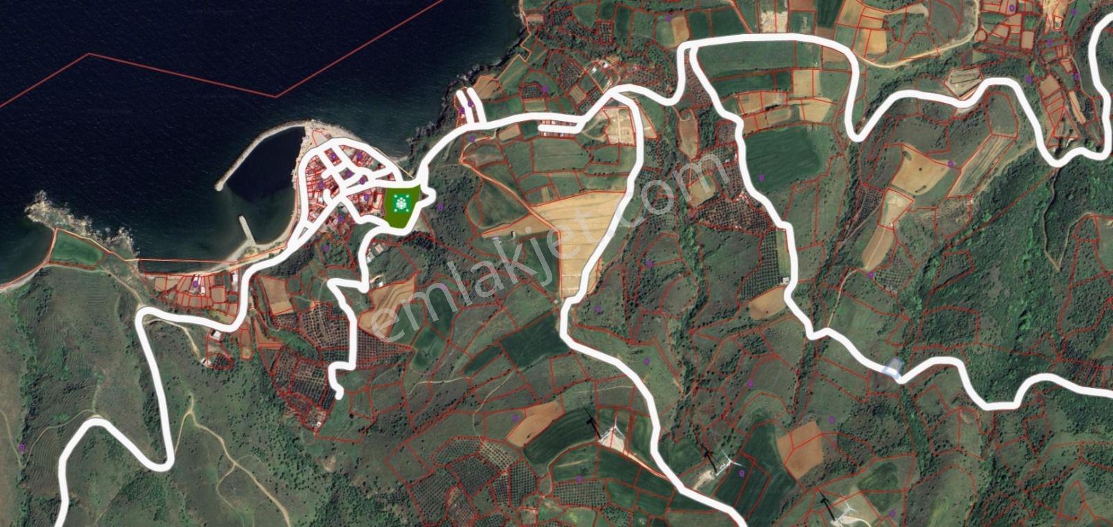 Bandırma Dutliman Full Panoromik Deniz Manzaralı Yolu Var 867 M2 - Görsel 7