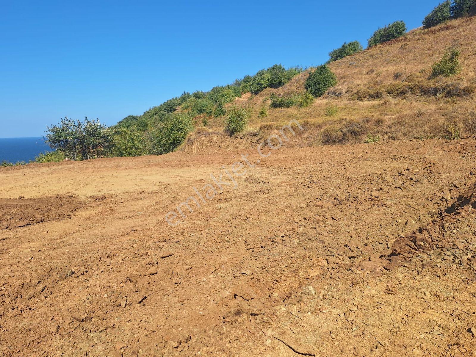 Bandırma Dutliman Full Panoromik Deniz Manzaralı Yolu Var 867 M2 - Görsel 8