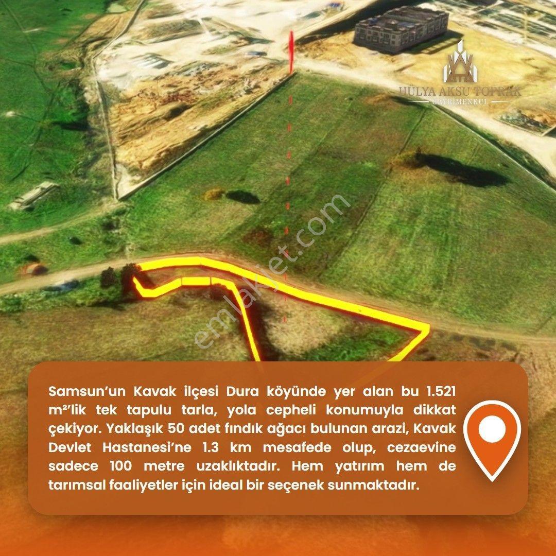 Kavak'ta Doğayla İç İçe Yaşam Fırsatı - Görsel 3