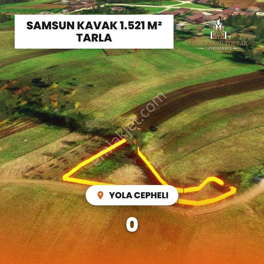 Kavak'ta Doğayla İç İçe Yaşam Fırsatı - Görsel 11