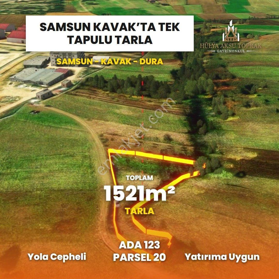 Kavak'ta Doğayla İç İçe Yaşam Fırsatı - Görsel 8