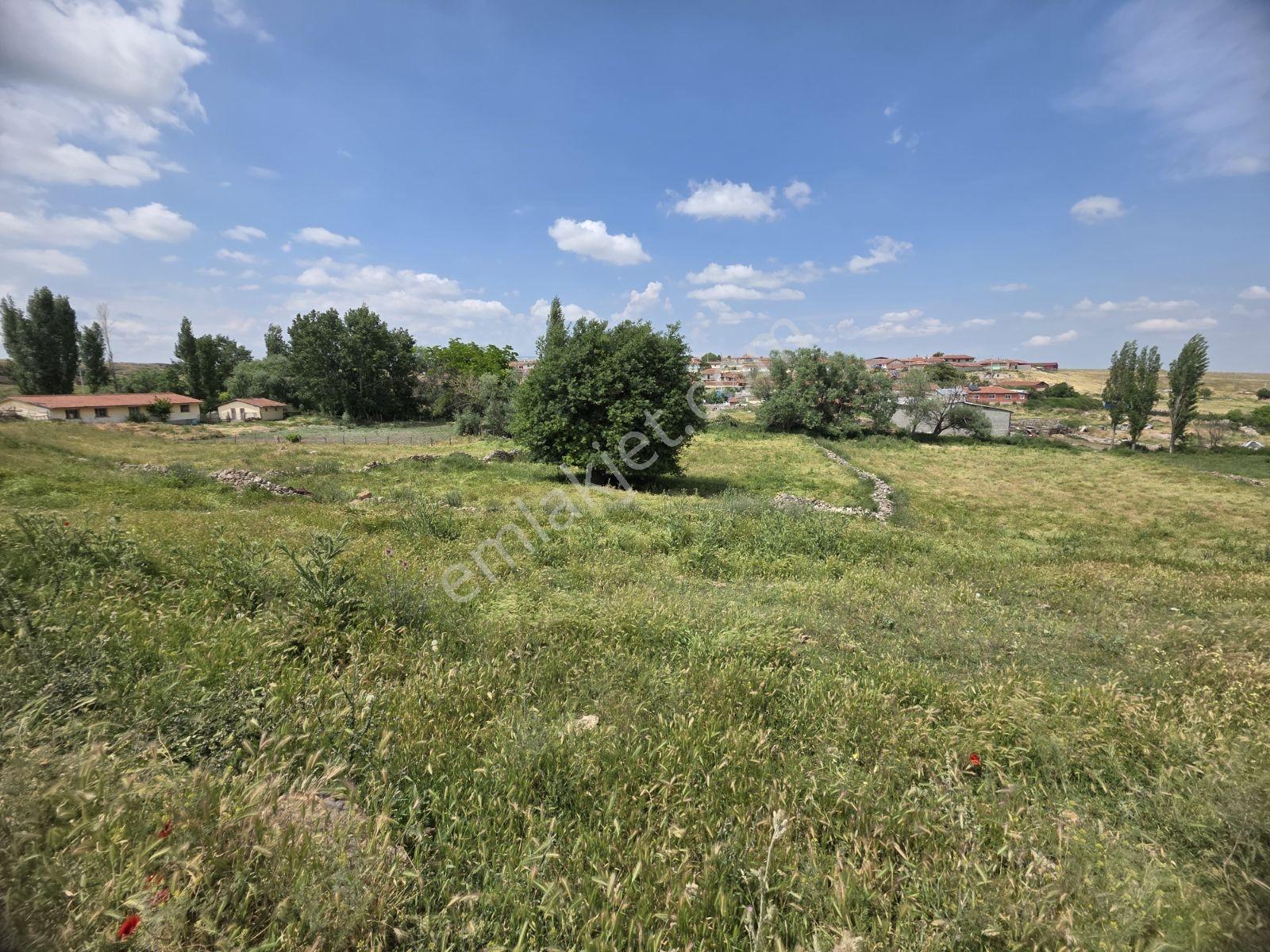 Kıravdan Da Köy İçi Satılık Müstakil Tapu 1051 M2 Bahçe - Görsel 2