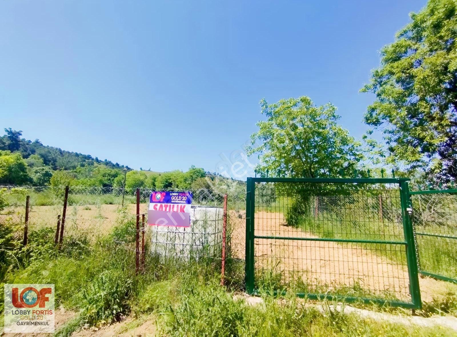 Lobby Fortis'ten Yeşilyayla'da 1015m2 Satılık Zeytin Bahçesi - Görsel 22