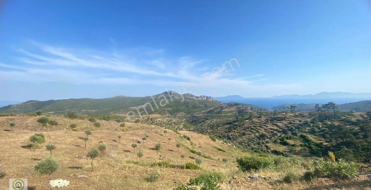 Milas Akçakaya Mahallesinde Deniz Manzaralı Satılık Tarla