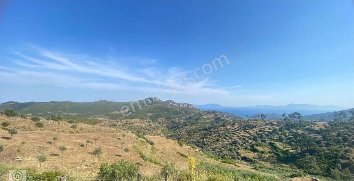 Milas Akçakaya Mahallesinde Deniz Manzaralı Satılık Tarla - Görsel 4