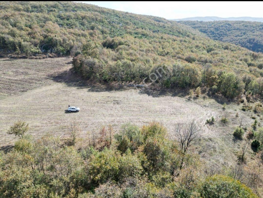 Yenişehir Gökçesu Da 3600m2 Satılık Tarla - Görsel 2