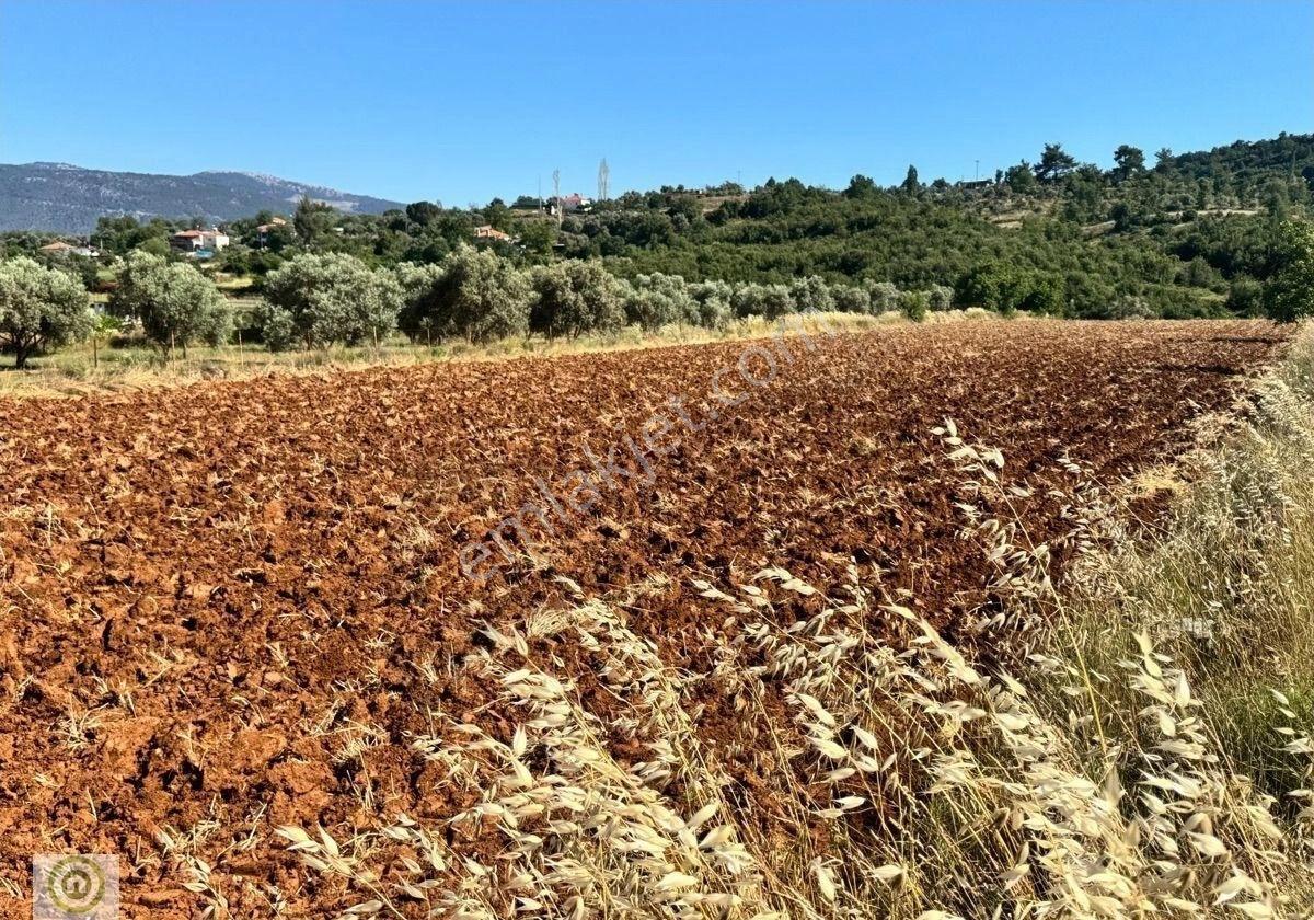 Muğla / Milas / Yatağan Kozağaç’ta Kadastro Yola Cepheli 5,161 M² Yatırımlık Satılık Tarla - Görsel 6