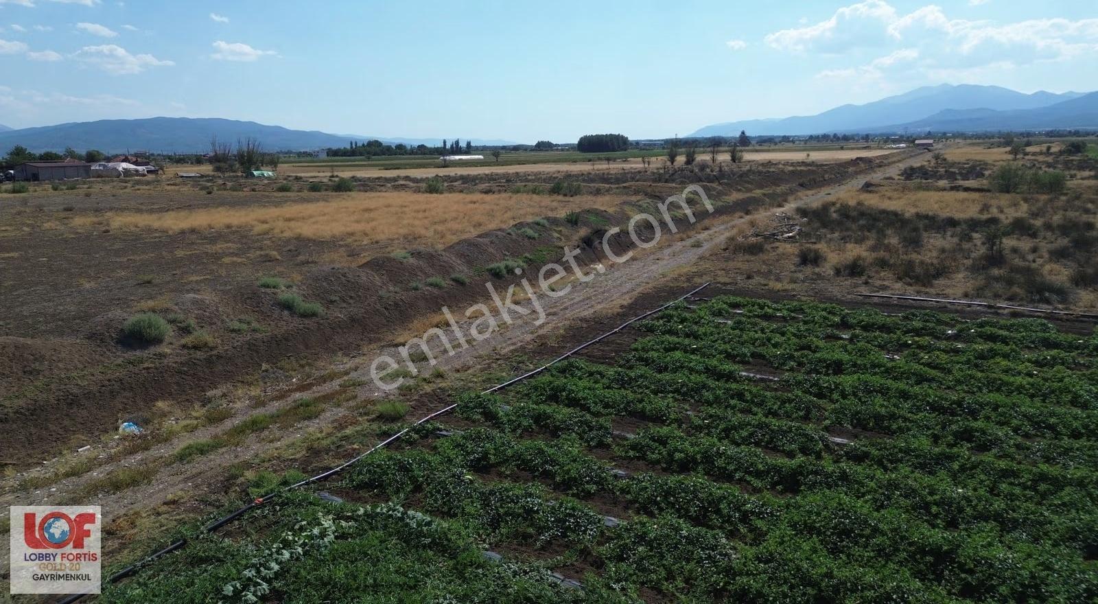 Lobby Fortis'ten Acıpayam Akalan'da Satılık 11.575 M2 Tarla - Görsel 11