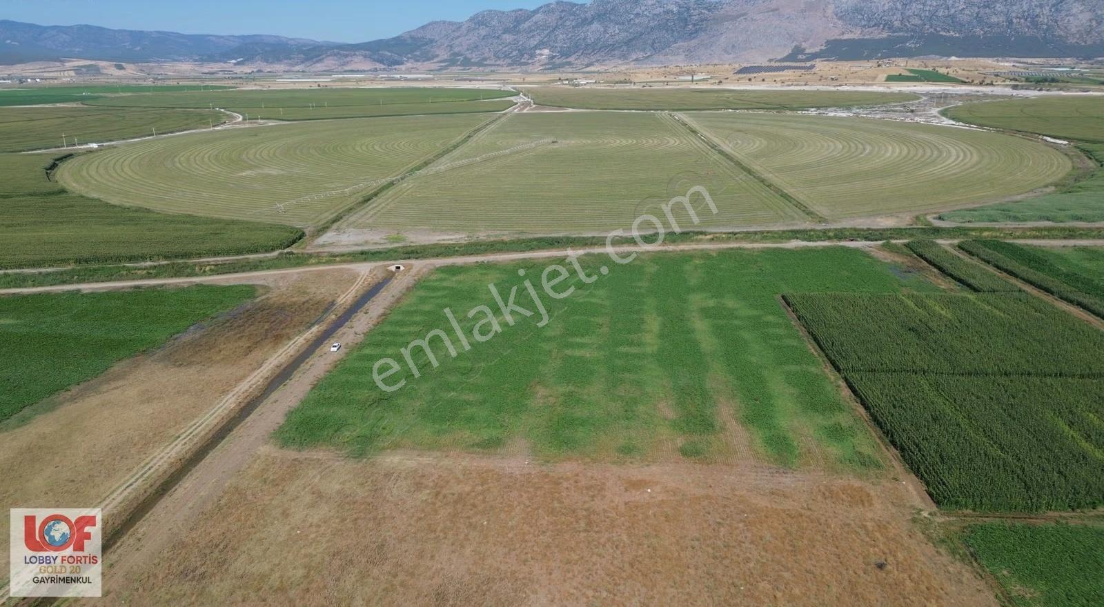 Lobby Fortis'ten Acıpayam Akalan'da Satılık 11.575 M2 Tarla - Görsel 13