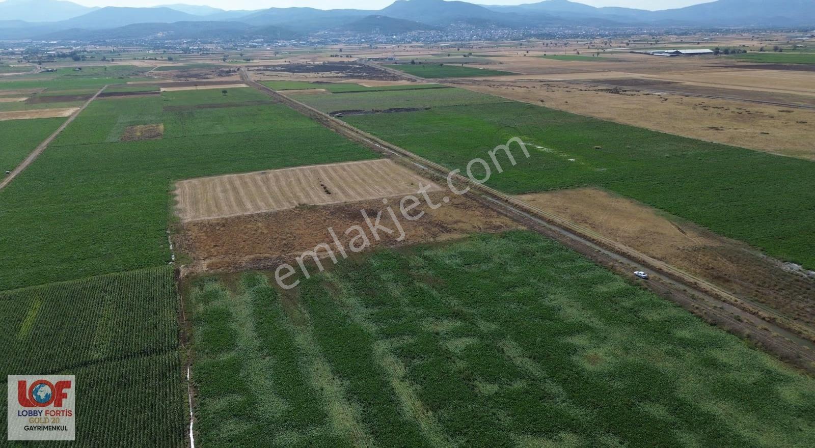 Lobby Fortis'ten Acıpayam Akalan'da Satılık 11.575 M2 Tarla
