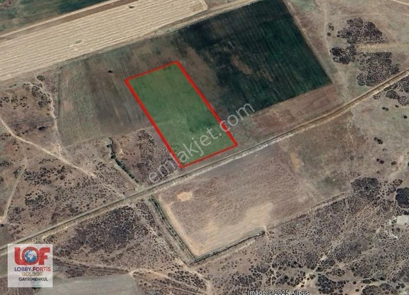 Lobby Fortis'ten Acıpayam Akalan'da Satılık 11.575 M2 Tarla - Görsel 8