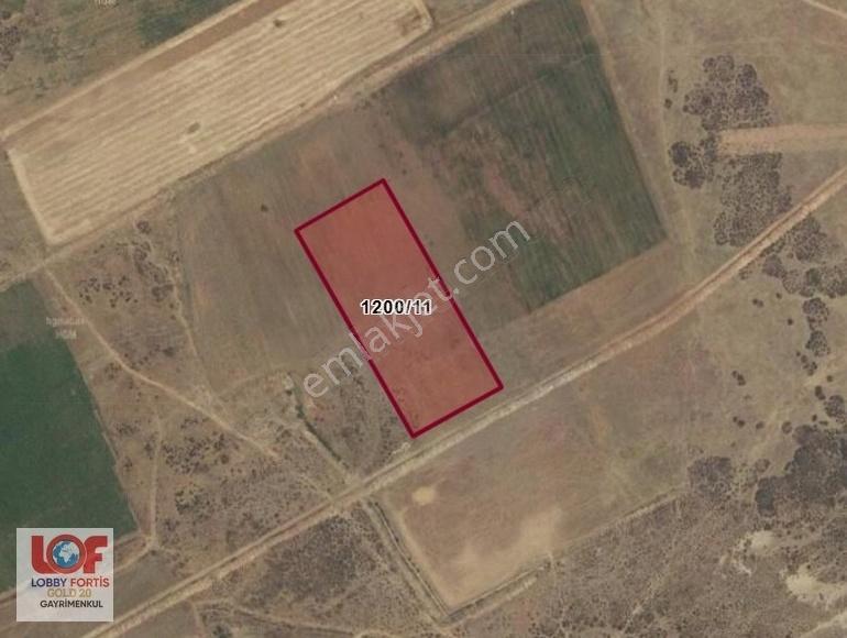 Lobby Fortis'ten Acıpayam Akalan'da Satılık 11.575 M2 Tarla - Görsel 3