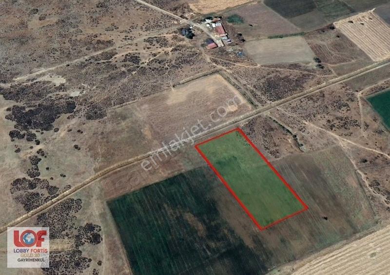 Lobby Fortis'ten Acıpayam Akalan'da Satılık 11.575 M2 Tarla - Görsel 2