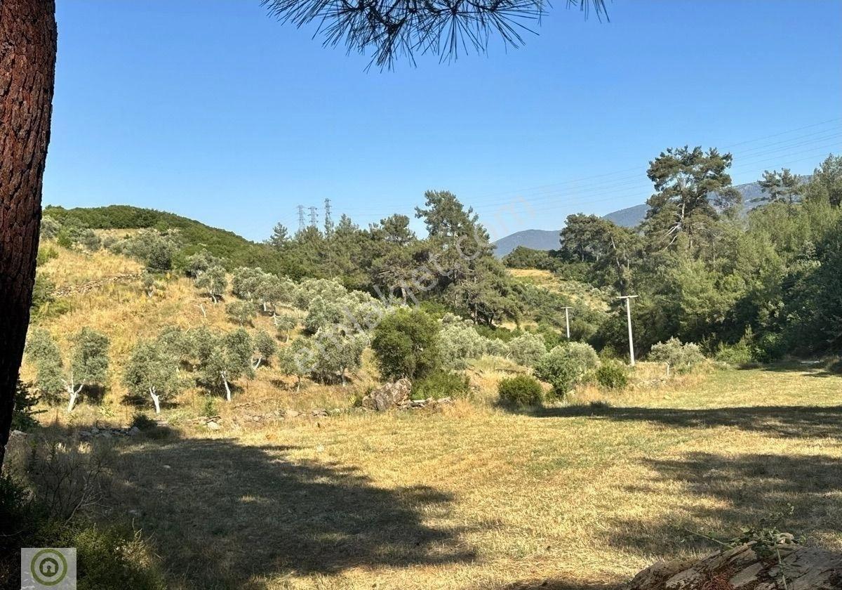 Muğla / Yatağan Kozağaç Mahallesi Kızılçırpı Mevkinde Satılık Tarla - Görsel 19