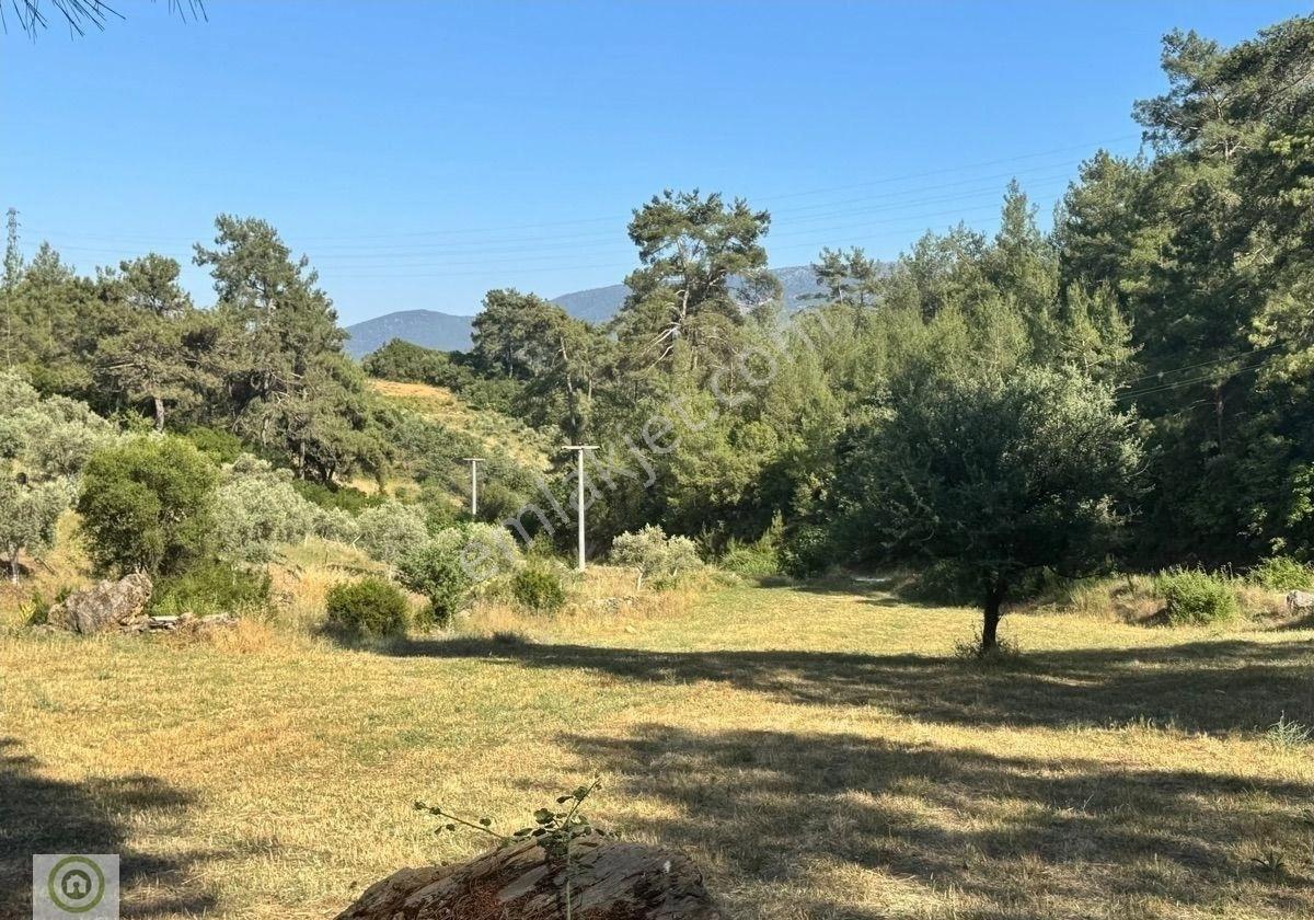 Muğla / Yatağan Kozağaç Mahallesi Kızılçırpı Mevkinde Satılık Tarla - Görsel 13